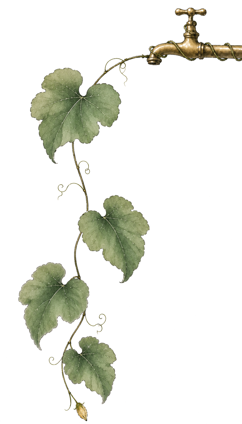 Watercolor brass spigot with a donggua vine descending, leaves alternating sides, and a small flower bud at the bottom