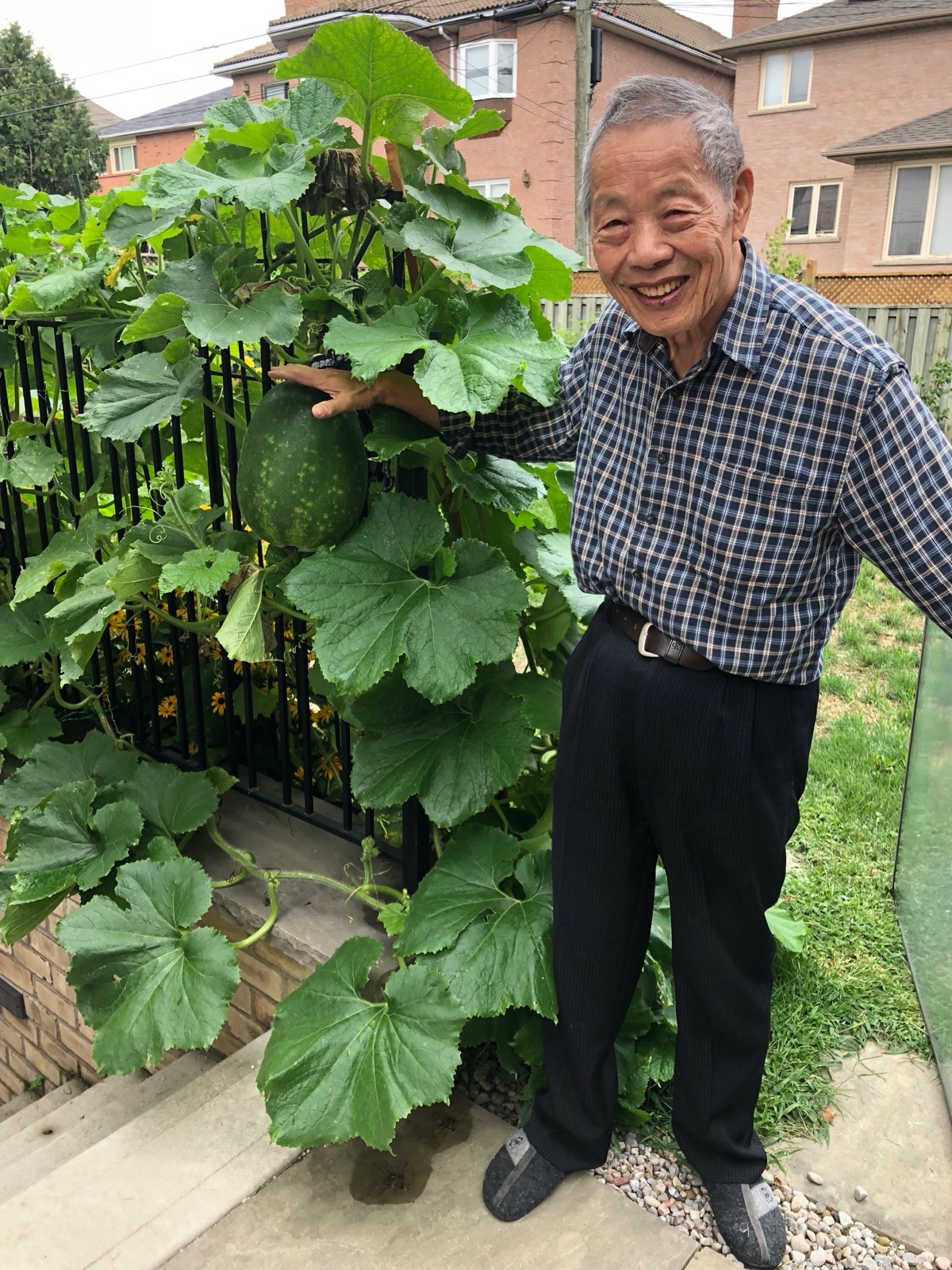 Shinn-Der Chang next to a flourishing dong gua (winter melon) vine in his garden, August 2018
